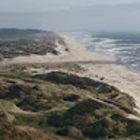 Meet your Posher, Fabienne - Picture 1 of 1